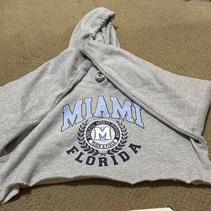 Urban planet cropped grey hoodie